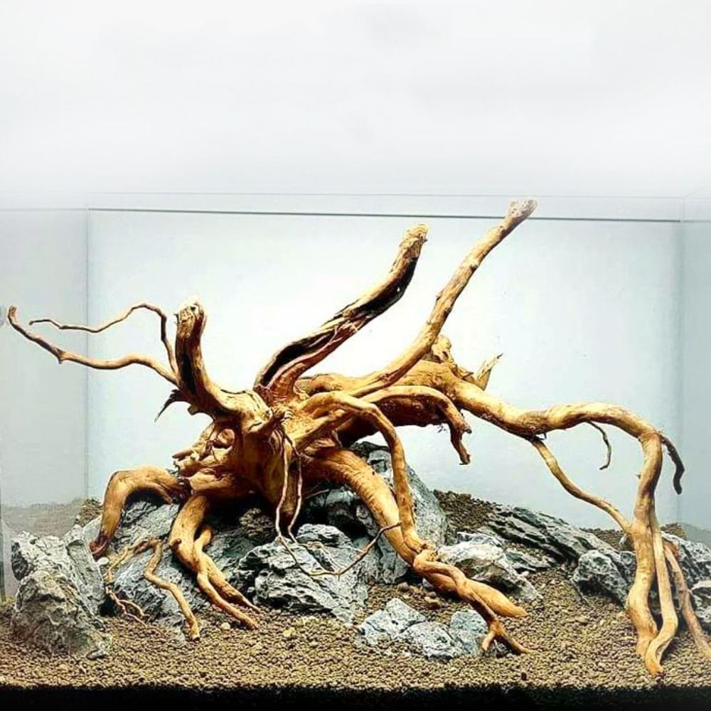 Aquarium Driftwood - 20-25CM Grote Aquarium Drijfhout Natuurlijke Visbak