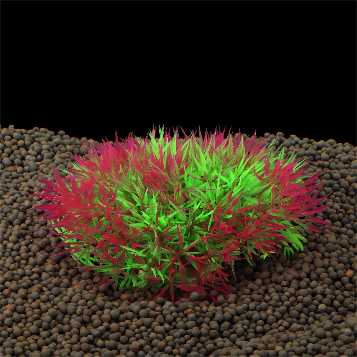 Kunstmatig watergras Aquariump - Aquarium Plants Live recensie en prijs