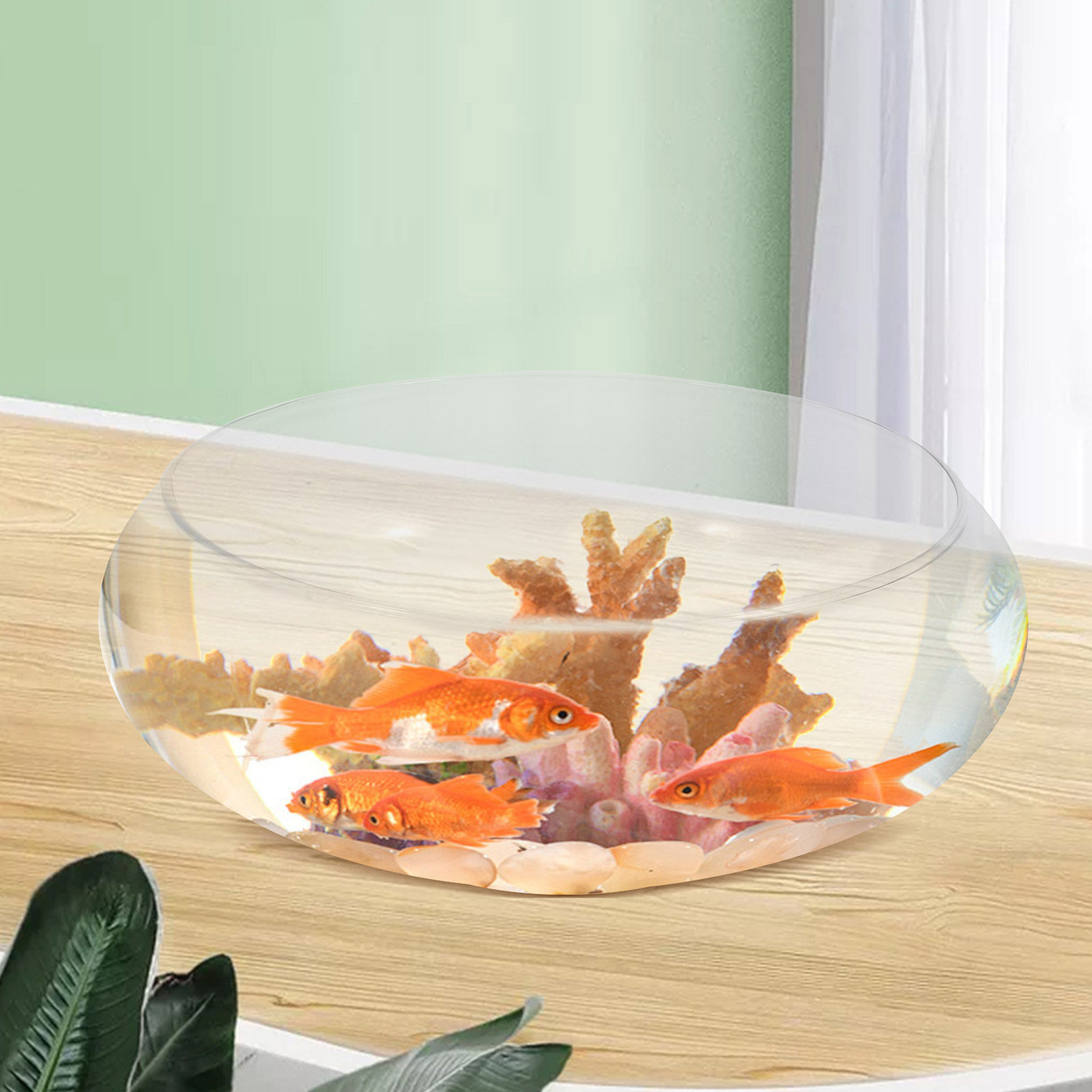 Glazen viskom, klein aquarium, - Plant Aquarium Pot recensie en prijs