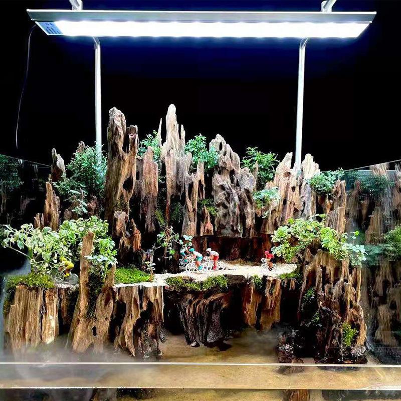 Garnalenhout aquariumdecoratie - Aquarium Moss recensie en prijs