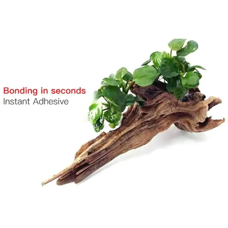 2PCS 5PCS /3/ Moss Clear Glues - Aquarium Moss recensie en prijs