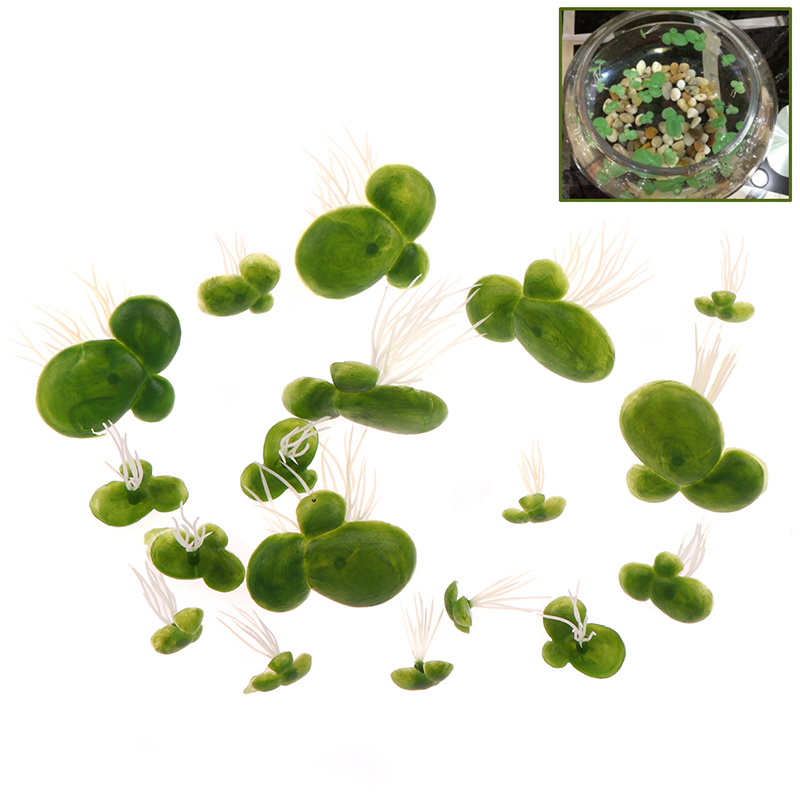 18 Stks/set Aquarium Aquarium  - Aquarium Plants Live recensie en prijs