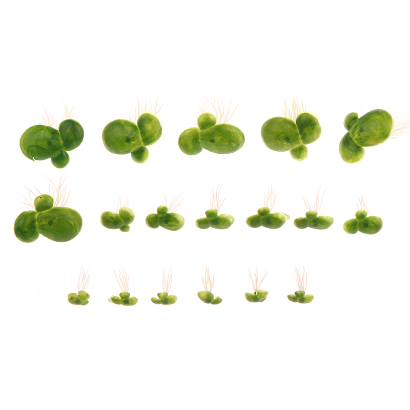 18 Stks/set Aquarium Aquarium  - Aquarium Plants Live recensie en prijs