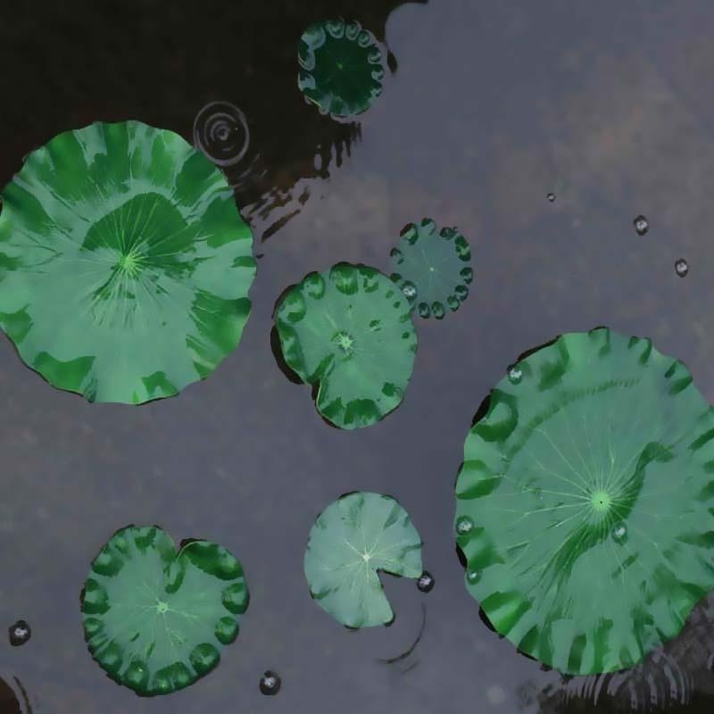 2026 Kunstmatige Waterlelie Lo - Aquarium Moss recensie en prijs