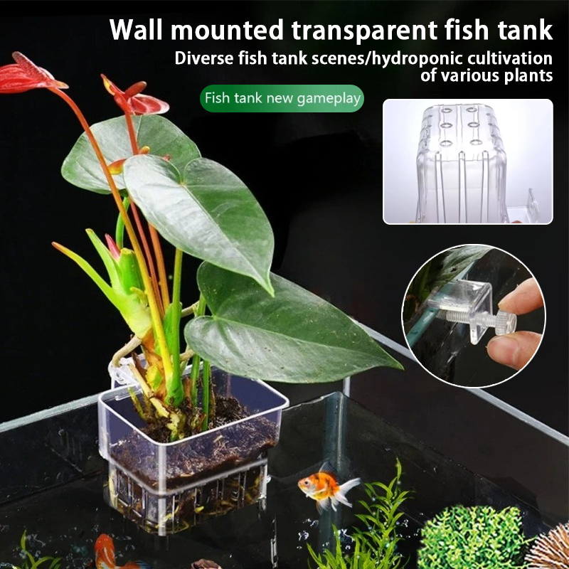 Aquarium hangende plantenbakje - Aquarium Plant Holder recensie en prijs