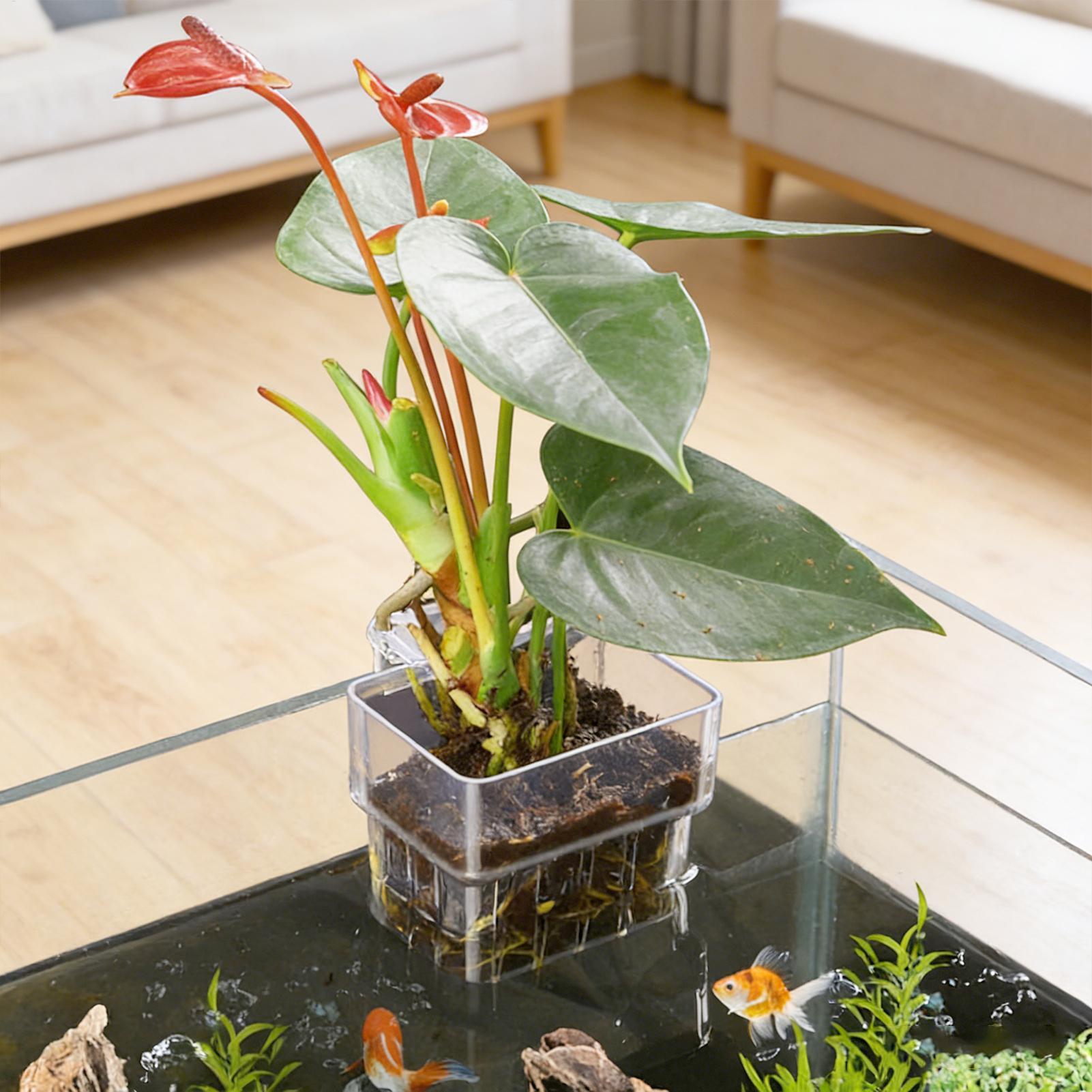 Aquariumplantenmand Transparan - Aquarium Plant Holder recensie en prijs