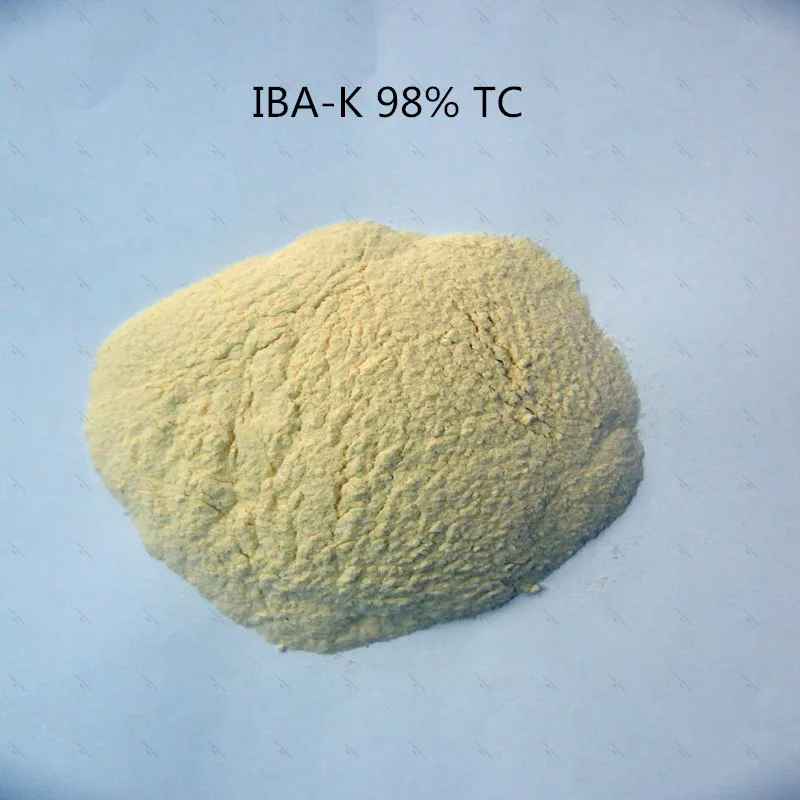 10Gram-1KG 98% IBA-K Wateroplo - Aquarium Fertilizer recensie en prijs