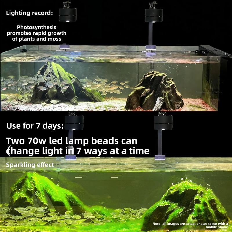 2026 Full Spectrum LED Aquariu - Aquarium Moss recensie en prijs