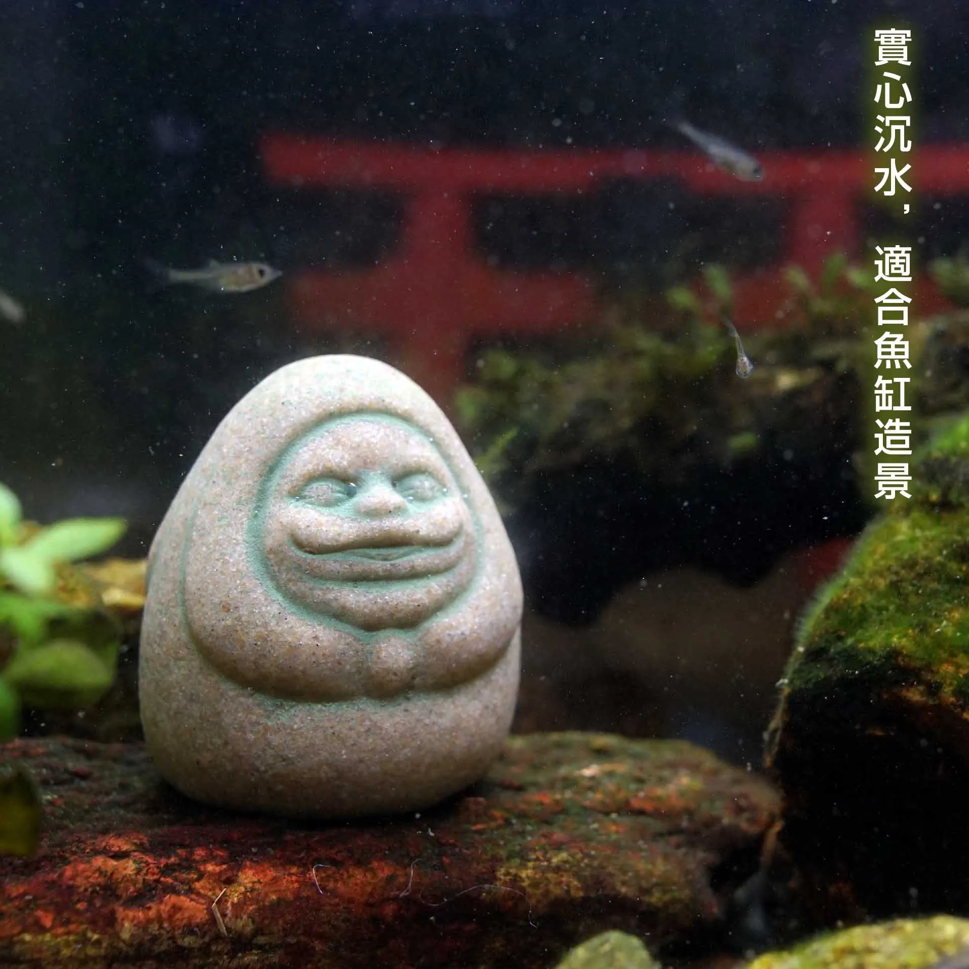 Kaminishi Verbergen Dharma Ani - Aquarium Moss recensie en prijs