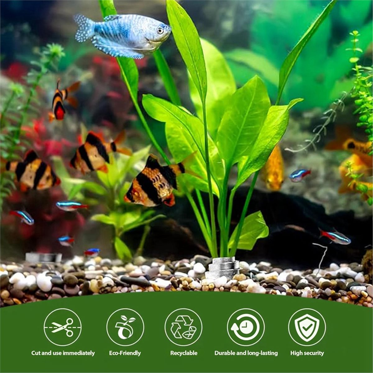 Tijdbesparende aquariumplantge - Live Plant Aquarium recensie en prijs