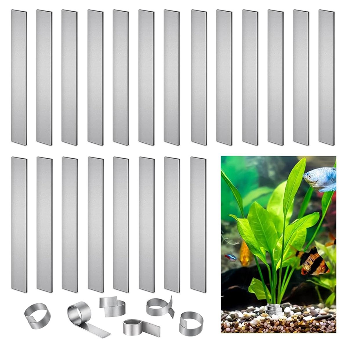 Tijdbesparende aquariumplantge - Live Plant Aquarium recensie en prijs