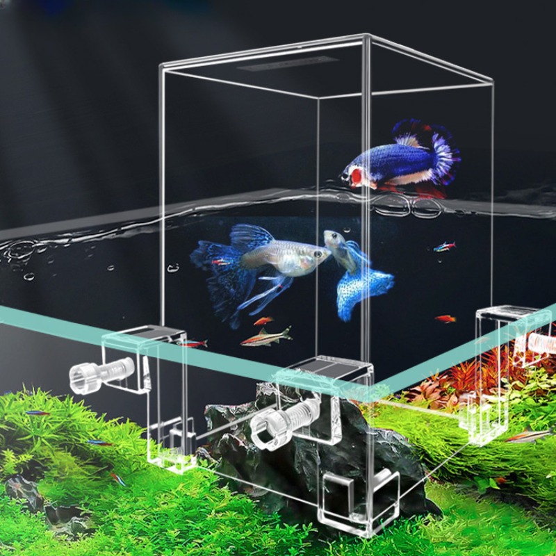 Creatieve Aquariumtanks Negati - Plant Aquarium Pot recensie en prijs