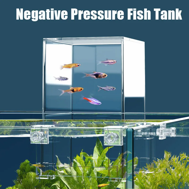Creatieve Aquariumtanks Negati - Plant Aquarium Pot recensie en prijs