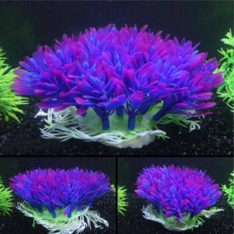 Kunstmatige brede korte aquari - Aquarium Plants Live recensie en prijs