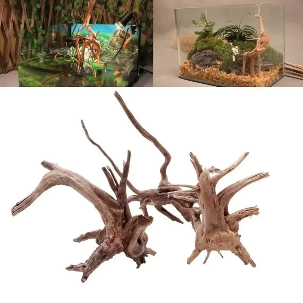 Natuurlijk drijfhout aquariumd - Aquarium Moss recensie en prijs