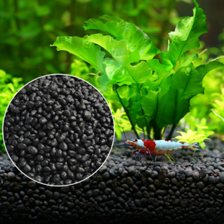 Aquarium Plant Zaden Bodem Fis - Aquarium Plant Substrate recensie en prijs