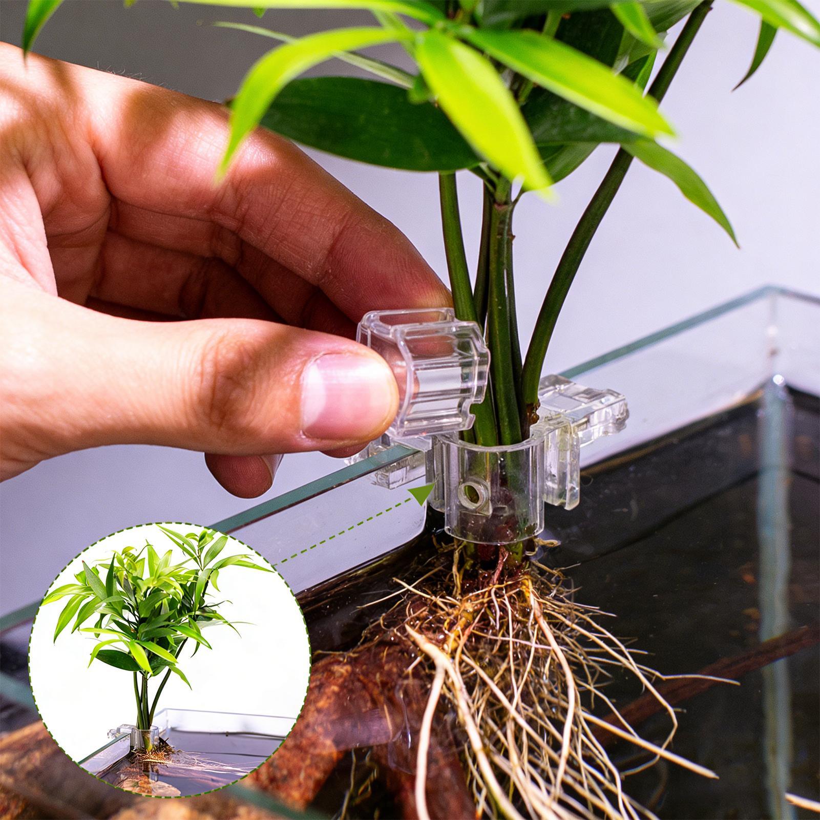 Mini Aquarium Plantenpot 6 Stu - Aquarium Fertilizer recensie en prijs