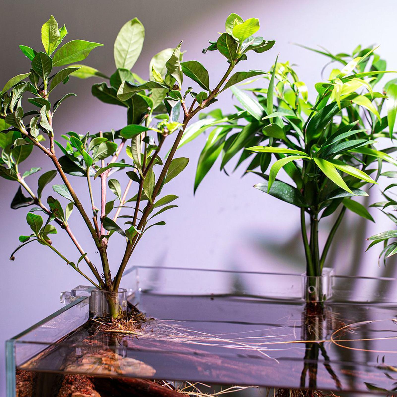 Mini Aquarium Plantenpot 6 Stu - Aquarium Fertilizer recensie en prijs