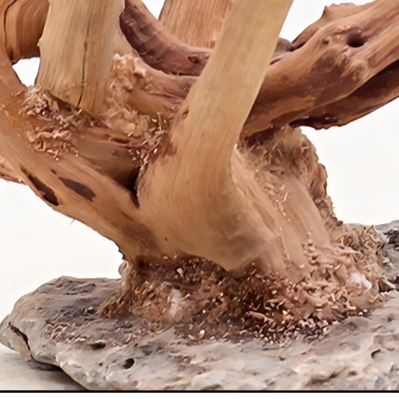 1Pc Aquarium Landschapsarchite - Aquarium Driftwood recensie en prijs