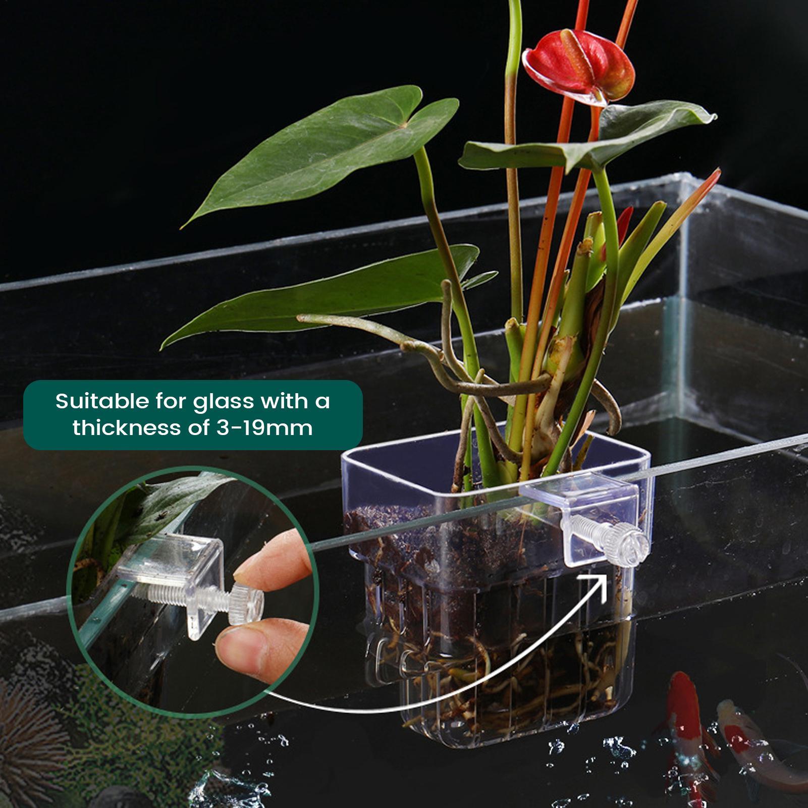 Aquariumplantenhouder Transpar - Aquarium Plant Holder recensie en prijs