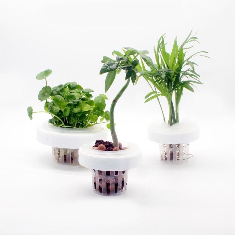 Drijvende plantenmand voor wat - Aquarium Plant Holder recensie en prijs