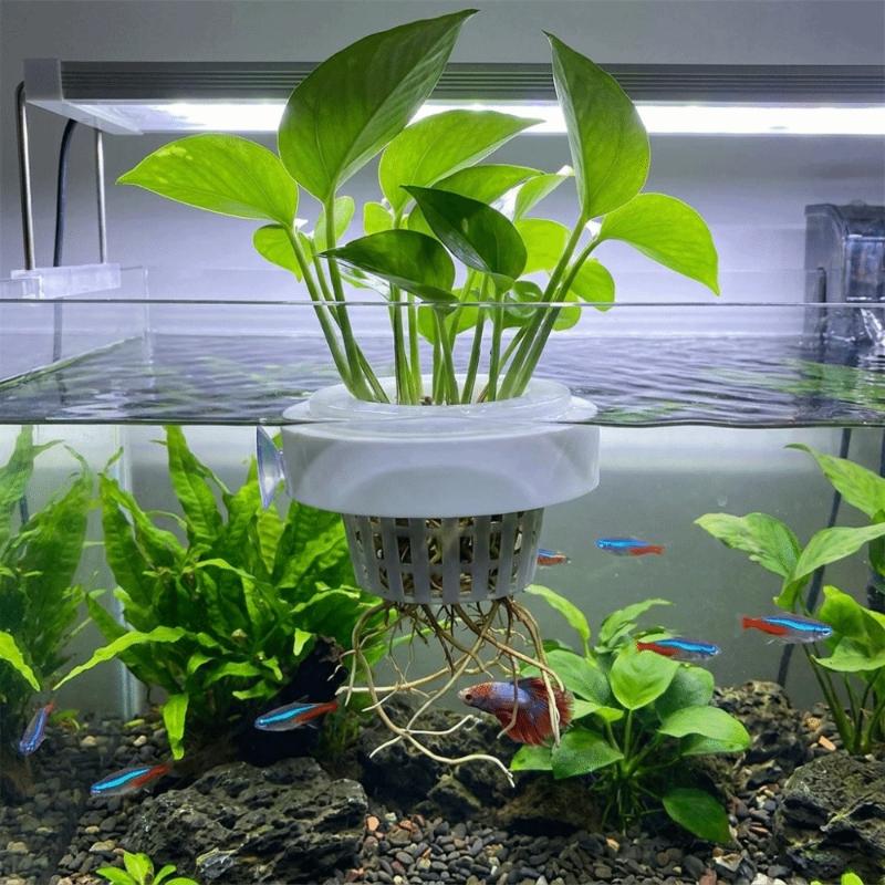 Drijvende plantenmand voor wat - Aquarium Plant Holder recensie en prijs