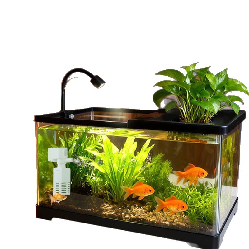 Aquarium in de woonkamer, met  - Live Plant Aquarium recensie en prijs