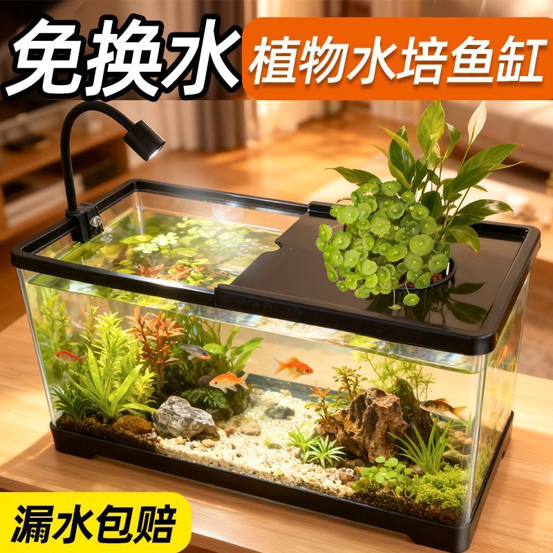 Aquarium in de woonkamer, met  - Live Plant Aquarium recensie en prijs