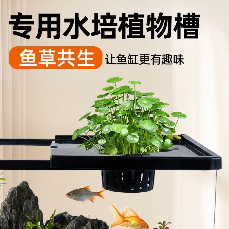 Aquarium in de woonkamer, met  - Live Plant Aquarium recensie en prijs