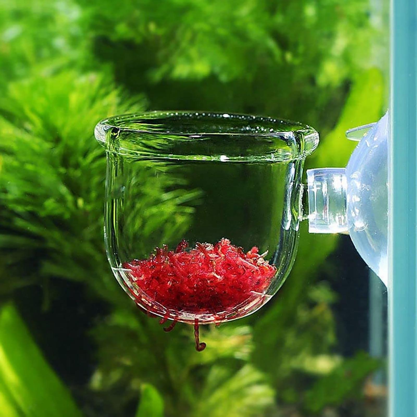 Acryl Aquarium Plantenpot met  - Aquarium Plant Holder recensie en prijs