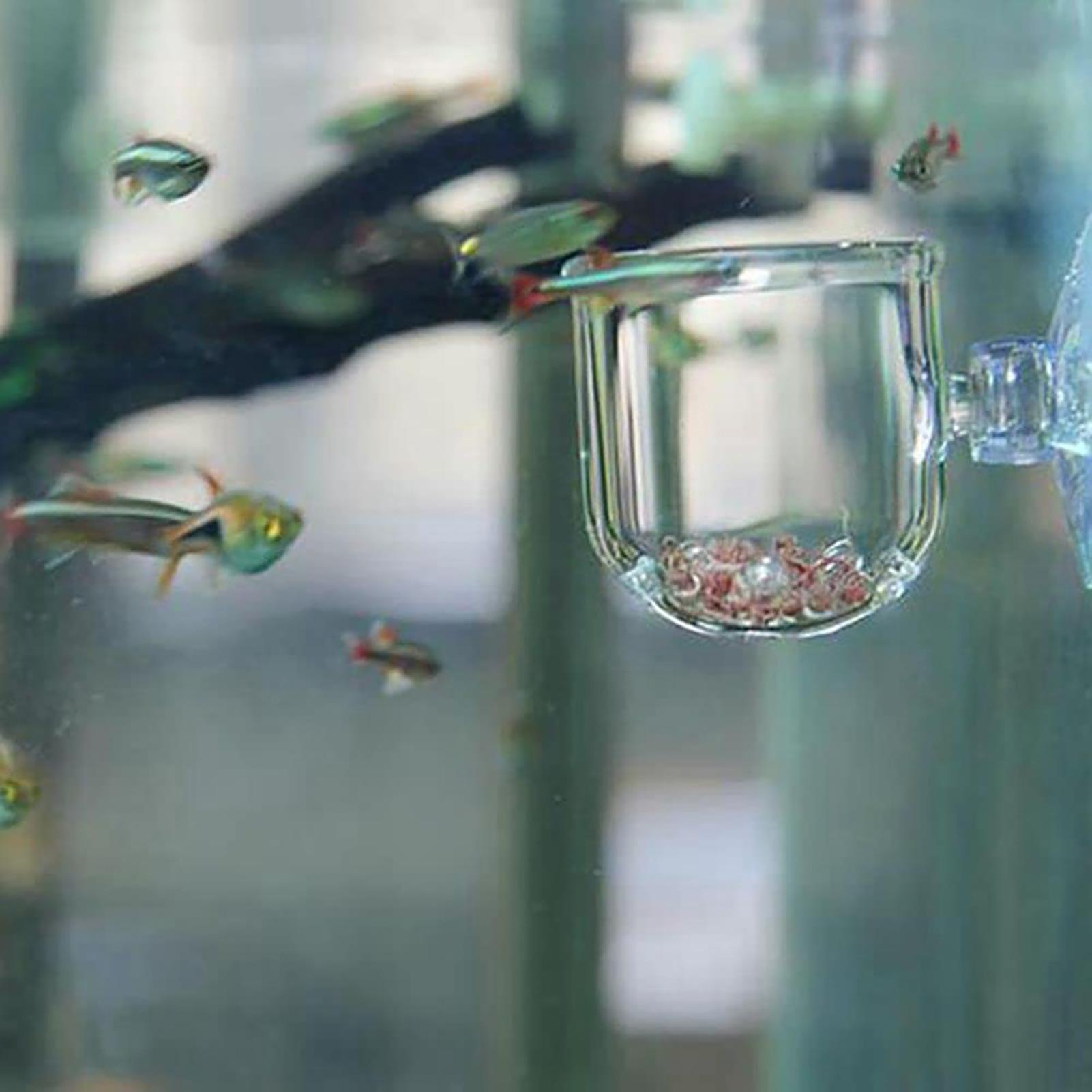 Acryl Aquarium Plantenpot met  - Aquarium Plant Holder recensie en prijs