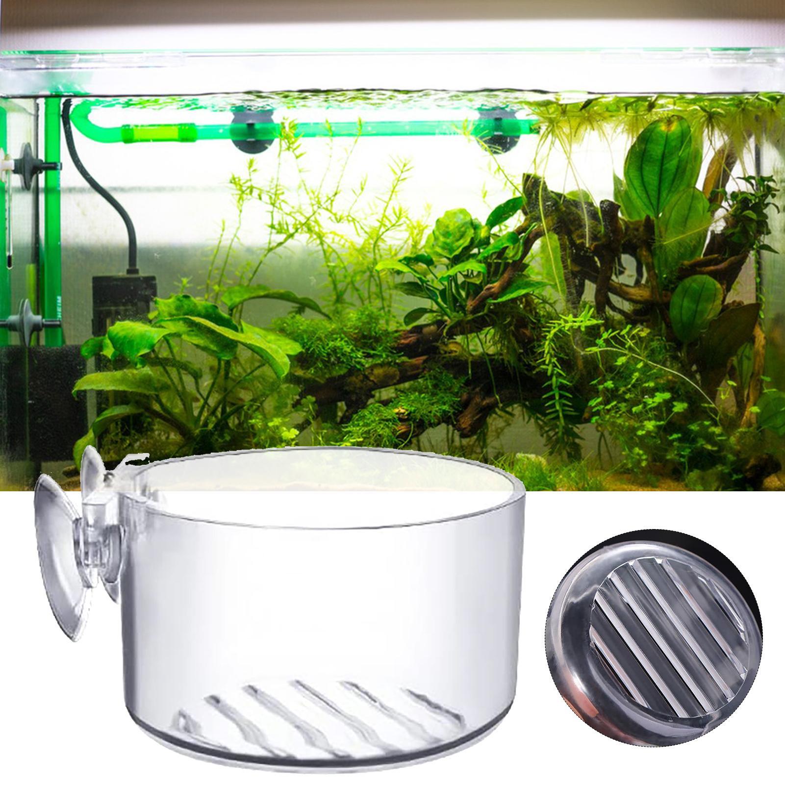 Acryl Aquarium Plantenpot met  - Aquarium Plant Holder recensie en prijs