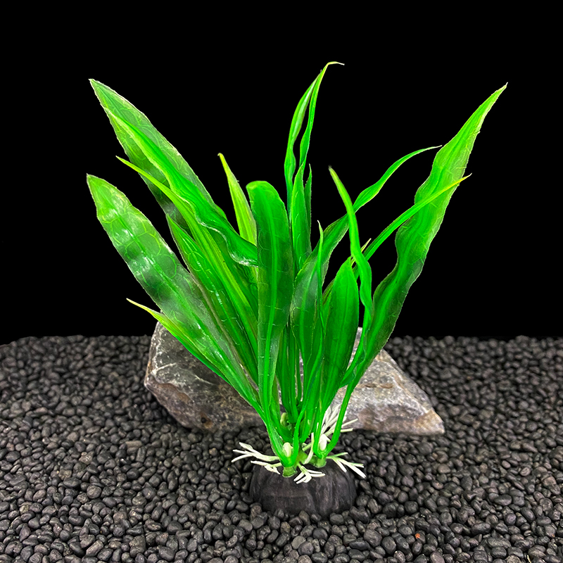 6 stuks aquariumplanten, groen - Live Plant Aquarium recensie en prijs